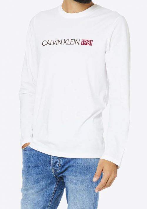 Pánske tričko Calvin Klein NM1705 L Sivá